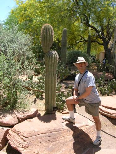 Gene and cacti