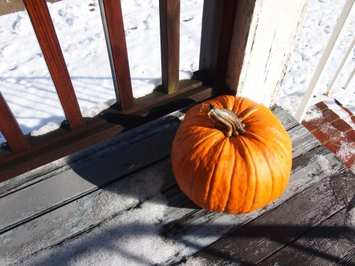 This just doesn't seem right