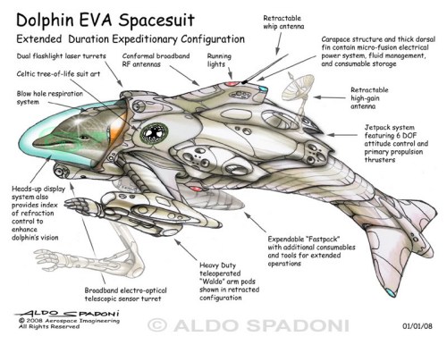 EVA suit for Uplifted dolphin